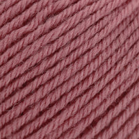 Sorbet Malinowy (8717)