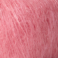 Coral Sorbet (4009)