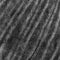Szary (6602)