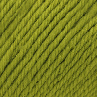 Kiwi (0179)