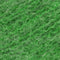 Zieleń (7951)